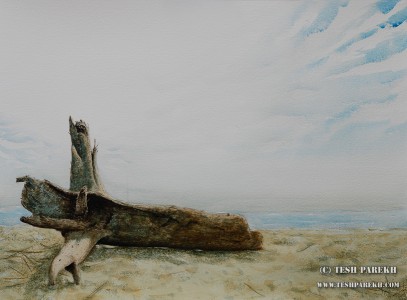 Driftwood. 21x29. Drybrush watercolor on paper. Artist - Tesh Parekh