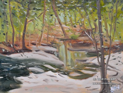 tesh-parekh-art-oil-0001