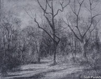Waiting for the spring. 11x14.25 Drawing. Graphite on paper.