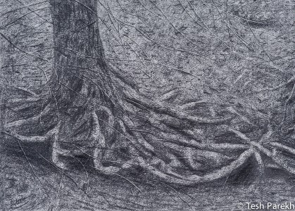 Roots. 10x14 Drawing. Graphite on paper.