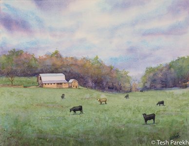 Gala VA Painting - "Galax Morning". 14x18. Watercolor on paper. Available. 